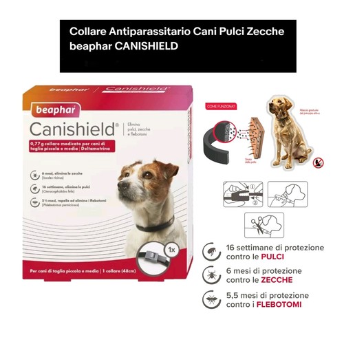 Collare antiparassitario cani - collare,
